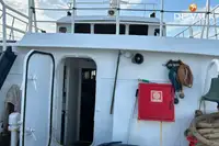 Navire de croisière à vendre