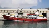 Transporteur de vrac à vendre