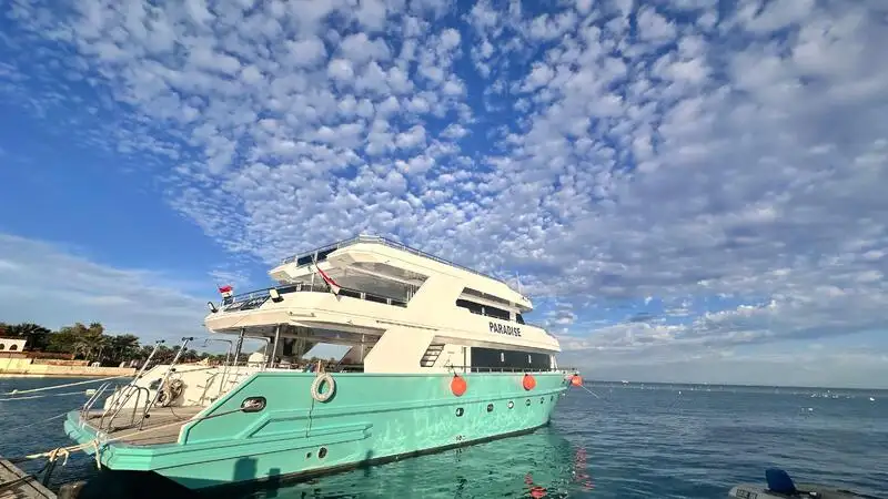 Navire de croisière à vendre