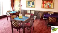 Navire de croisière à vendre