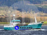 Navire pour l'aquaculture / l'élevage de coquillages à vendre