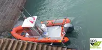 Bateau pneumatique rigide à vendre