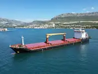 Vraquier à vendre