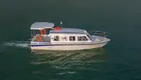 Navire de croisière à vendre