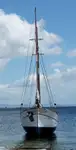 Navire-ferry à vendre