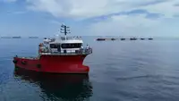 Bateaux de travail à vendre