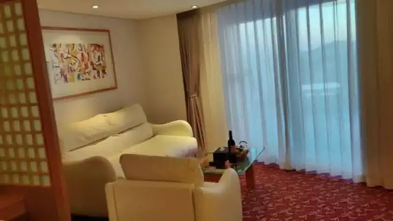 Navire de croisière à vendre
