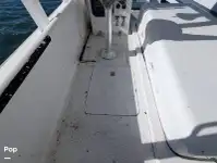 Navire mixte (croisière et transport de marchandises) à vendre