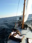 Péniche à vendre