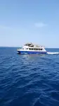 Catamaran à vendre