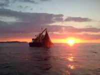 Chalutier à vendre