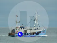 Navire transporteur de poissons vivants à vendre