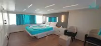 Navire de croisière à vendre