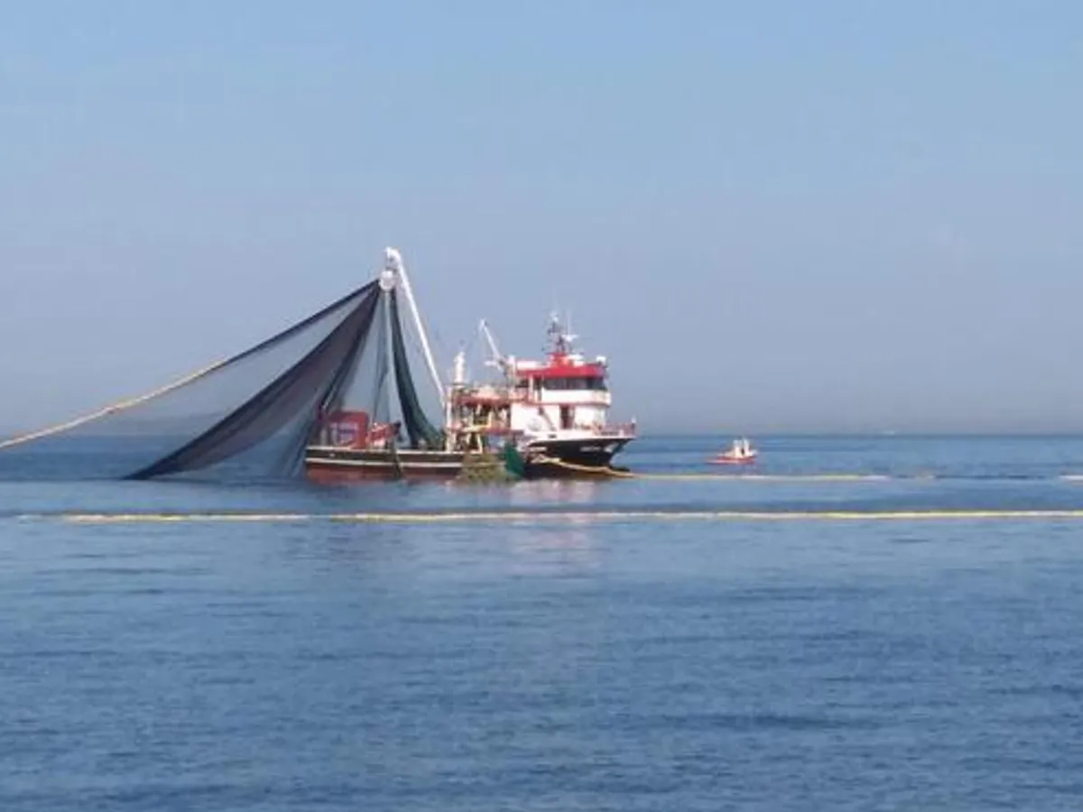 Navire de pêche à vendre