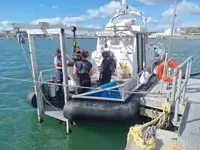 Bateaux de travail à vendre