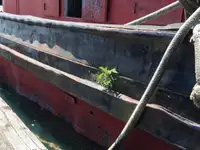 Remorqueur à vendre