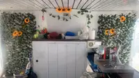 Navire de croisière à vendre