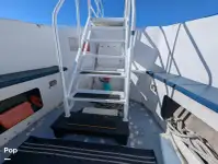 Navire mixte (croisière et transport de marchandises) à vendre