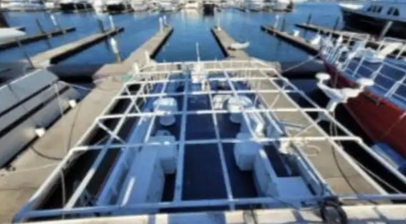 Bateau patrouilleur à vendre