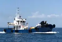 Bateaux de travail à vendre