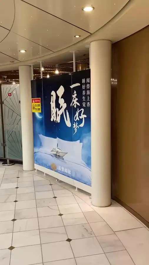 Navire de croisière à vendre
