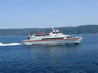Catamaran à vendre