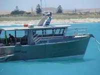 Bateaux de travail à vendre