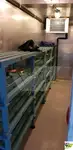 Navire de croisière à vendre
