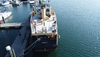 Bateaux de travail à vendre