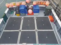 Palangrier à vendre