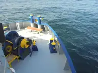 Navire frigorifique à vendre