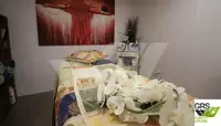 Navire de croisière à vendre