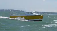 Catamaran à vendre