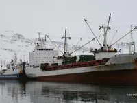 Navire frigorifique à vendre
