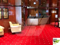 Navire de croisière à vendre
