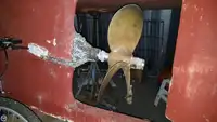 Chalutier à vendre
