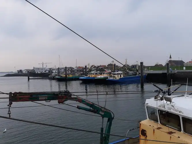 Chalutier à vendre