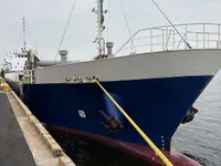 General Cargo/Multi-purpose à vendre