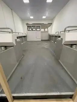 Catamaran à vendre