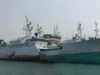 Palangrier à vendre