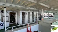 Navire de croisière à vendre