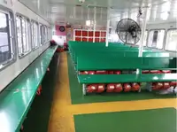 Navire-ferry à vendre
