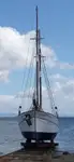Navire-ferry à vendre