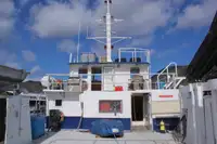 Catamaran à vendre