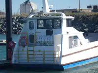 Navire de débarquement, citerne à vendre