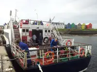 Navire de croisière à vendre