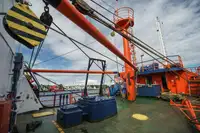 Navire porte-conteneurs à vendre