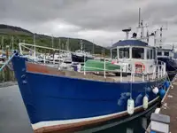 Bateau pilote à vendre