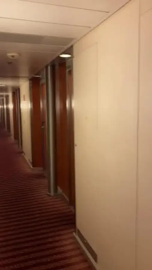 Navire de croisière à vendre