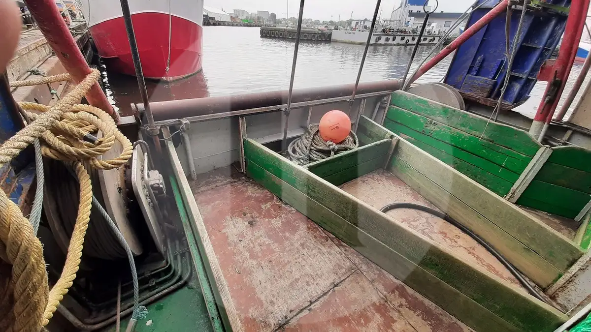 Navire transporteur de poissons vivants à vendre